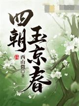 四朝玉京春曹夕晚柳如海